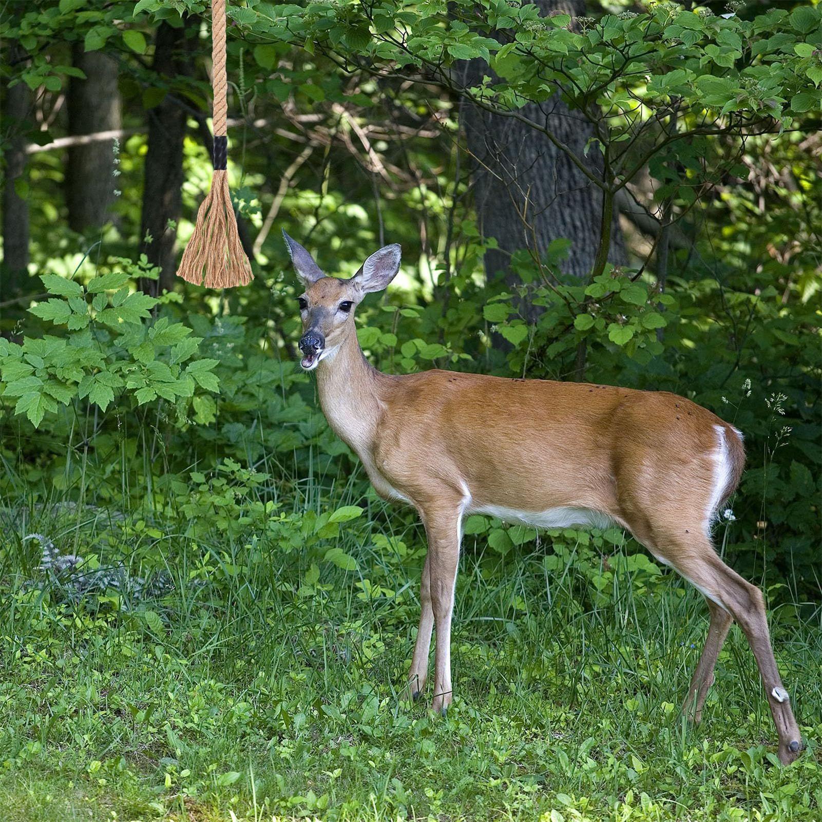 Deer Scent Rope Effective Long - Deer Attractant Scent review and price