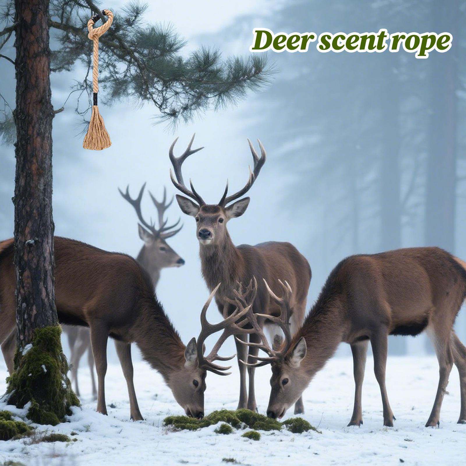 Deer Scrape Effective Long-Las - Deer Attractant Scent review and price